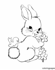 Baby Bunnies