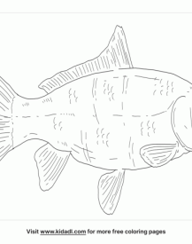 Crucian